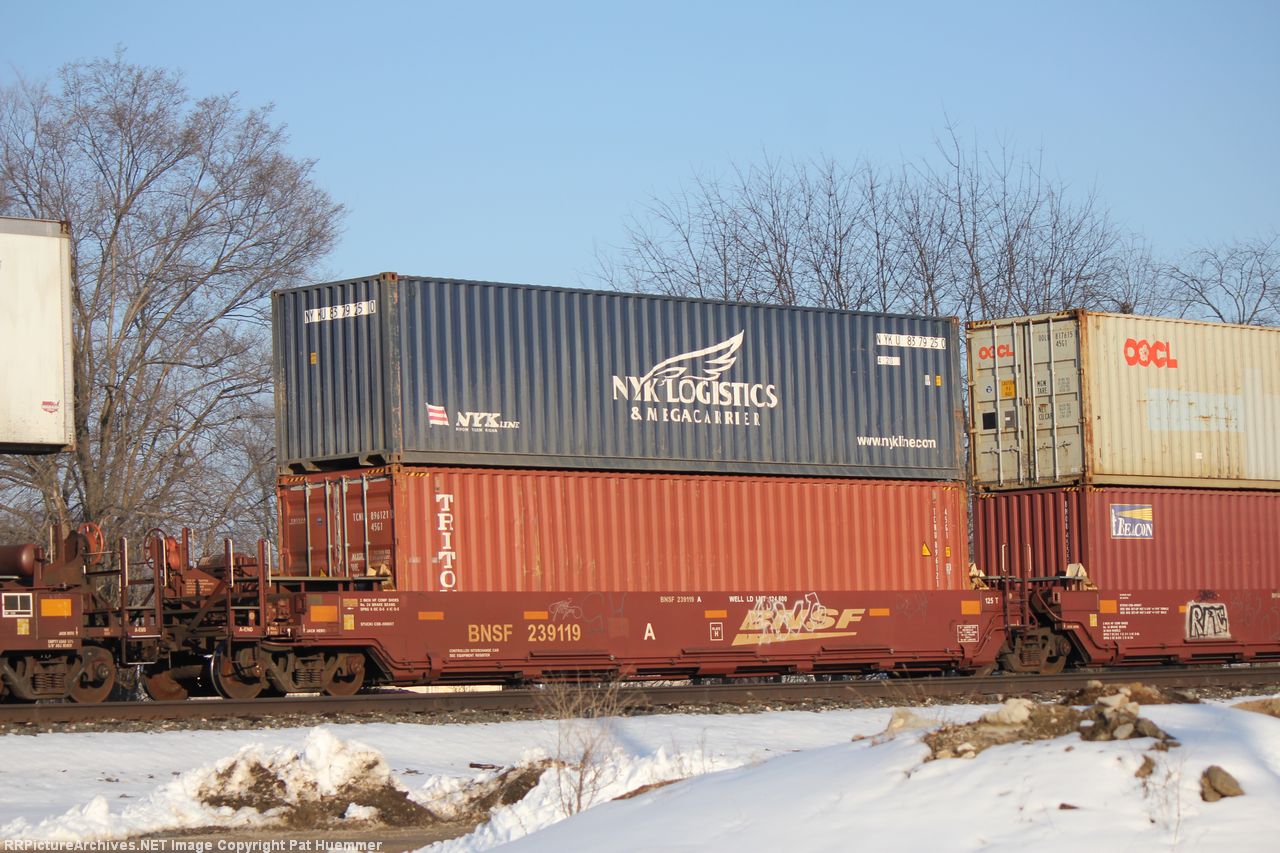 BNSF 239119