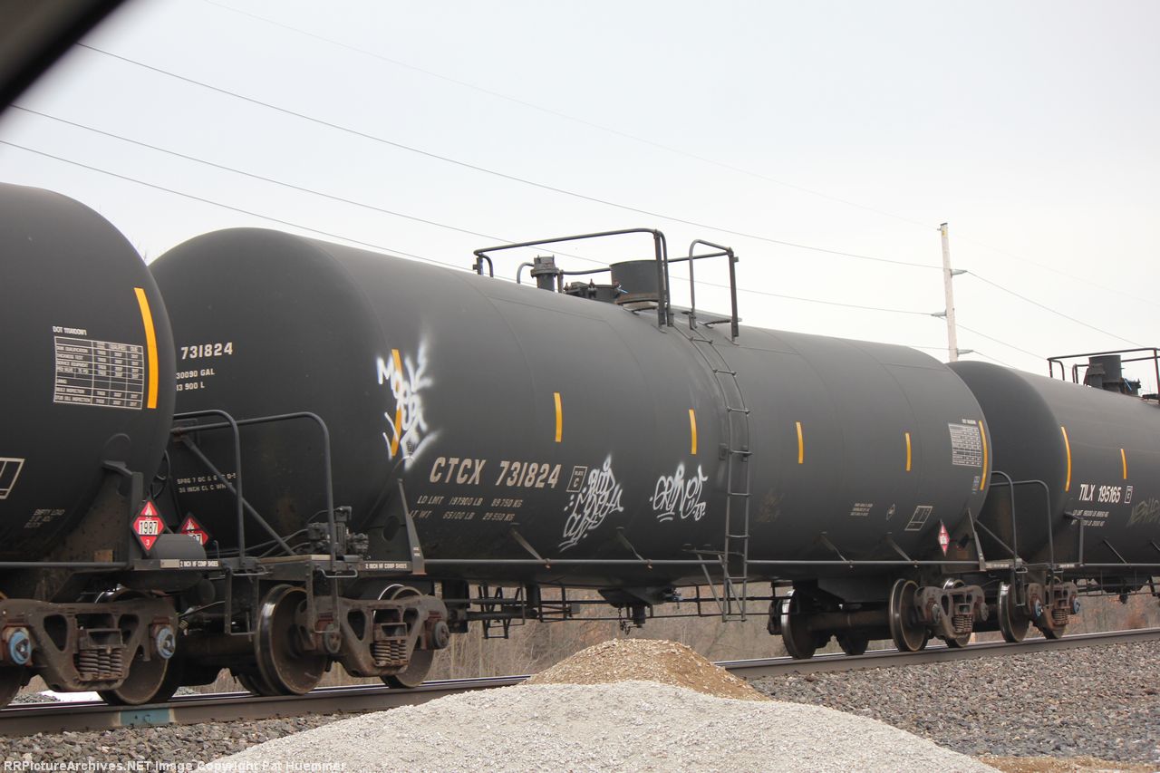 CTCX 731824