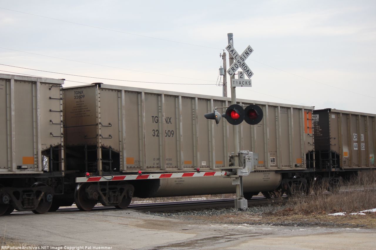 TGNX 32609