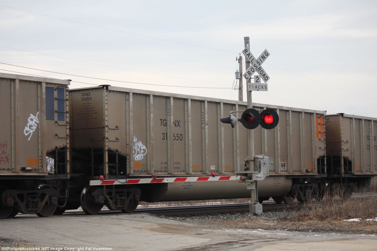 TGNX 31650