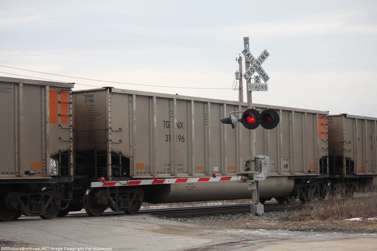 TGNX 31196