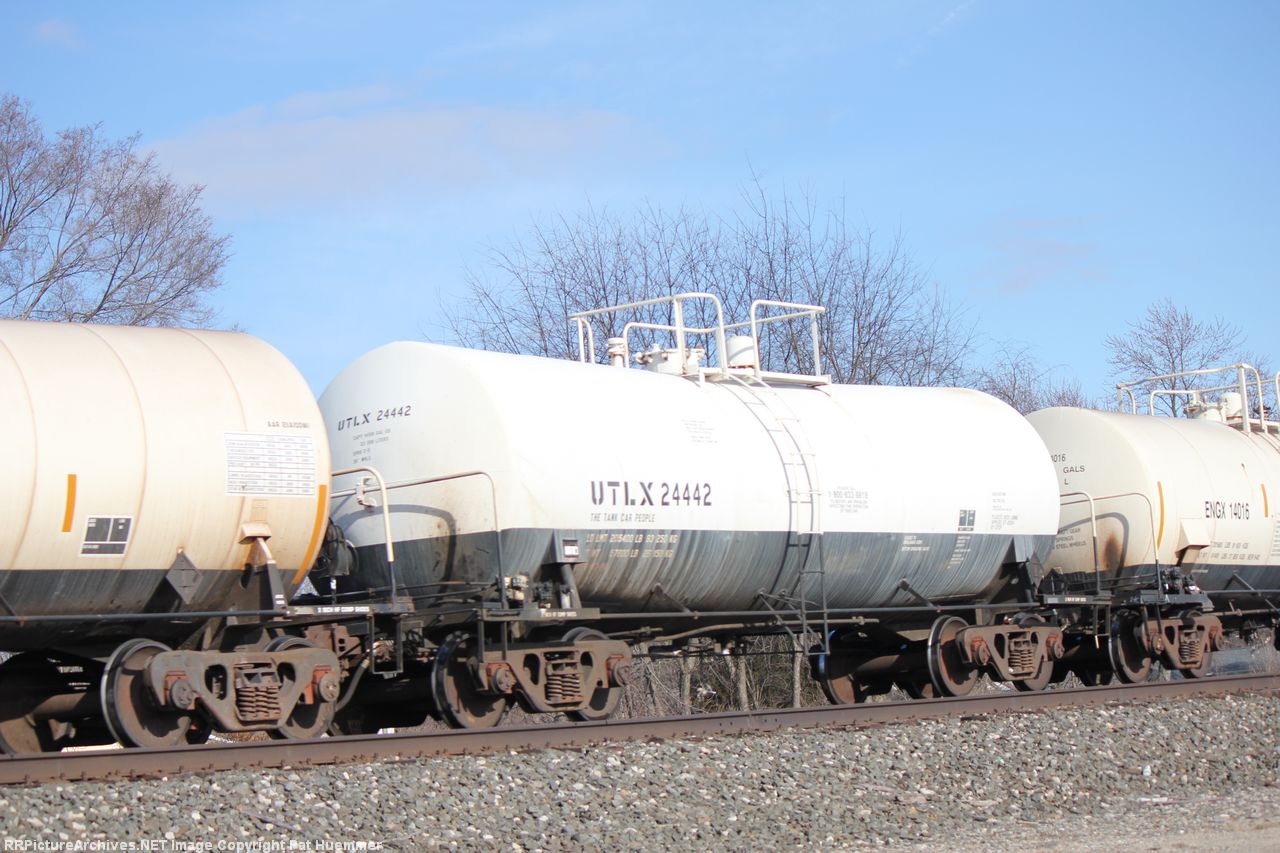 UTLX 24442