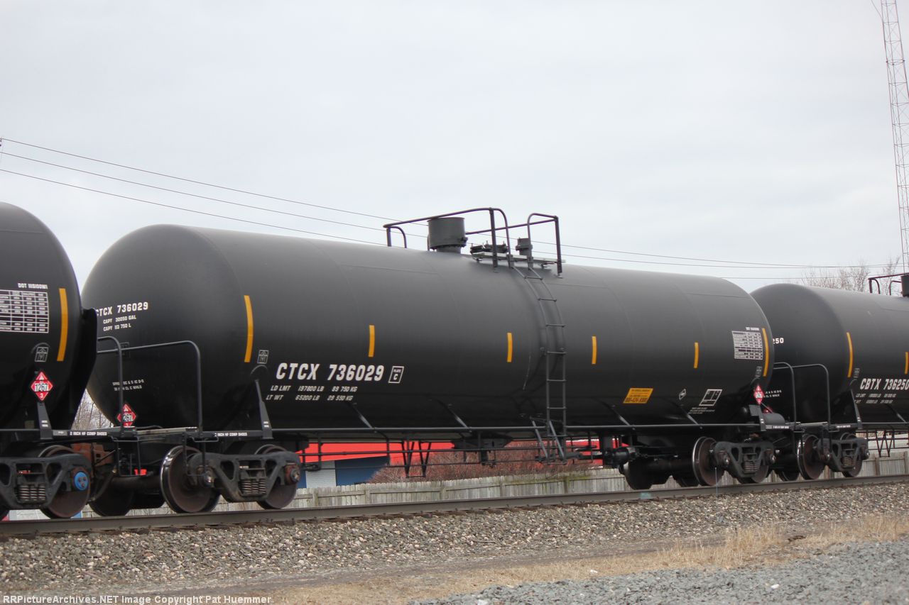 CTCX 736029
