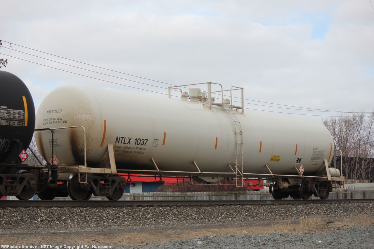 NTLX 1037