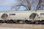 NS 236017