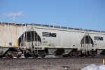 NS 236031