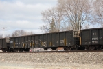 NS 201631