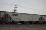 NS 255568