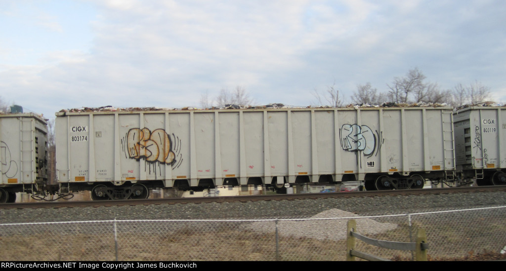 CIGX 803174