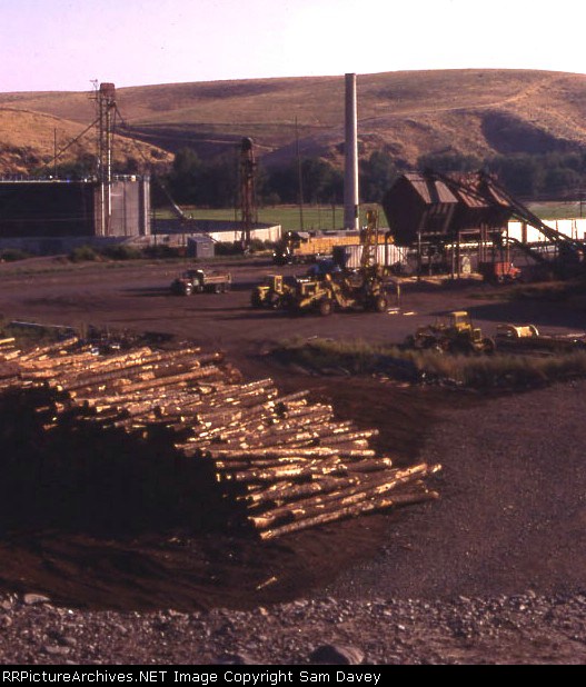 Pilot Rock local going through the lumber mill