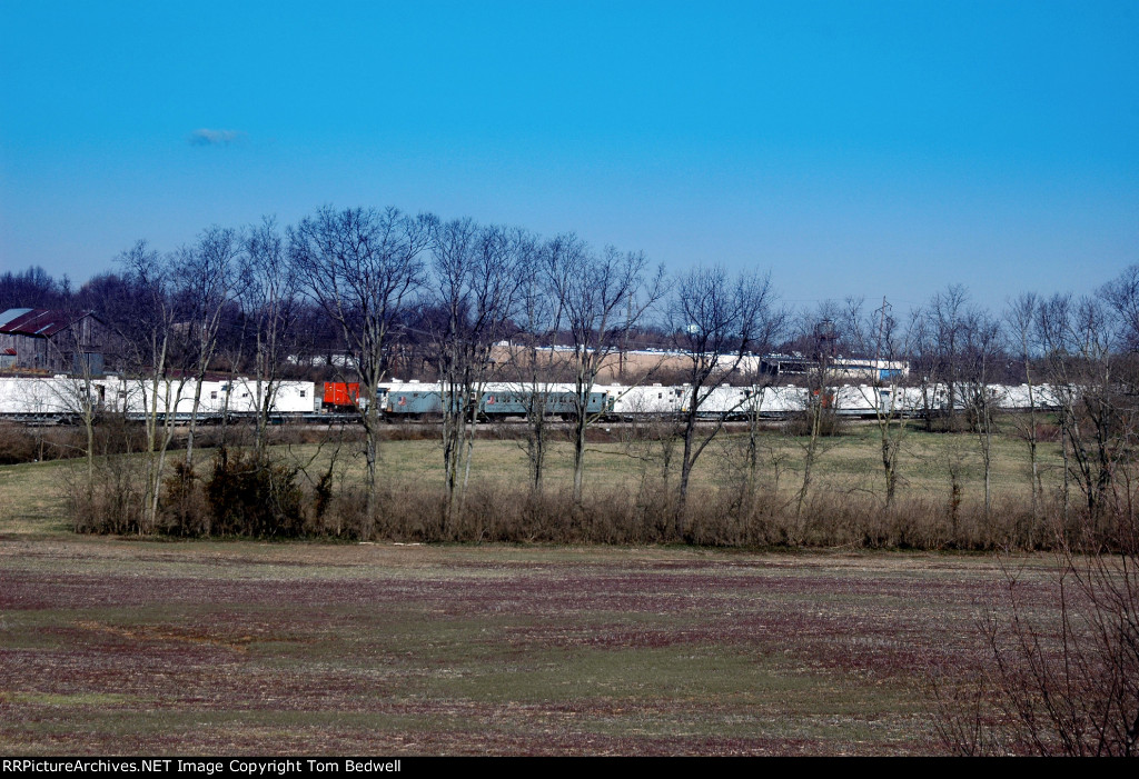 NS Cars and Business Cars