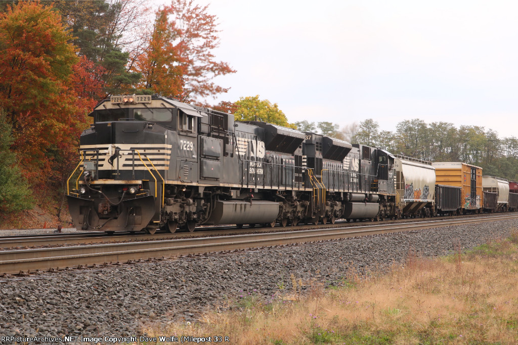 NS 7229