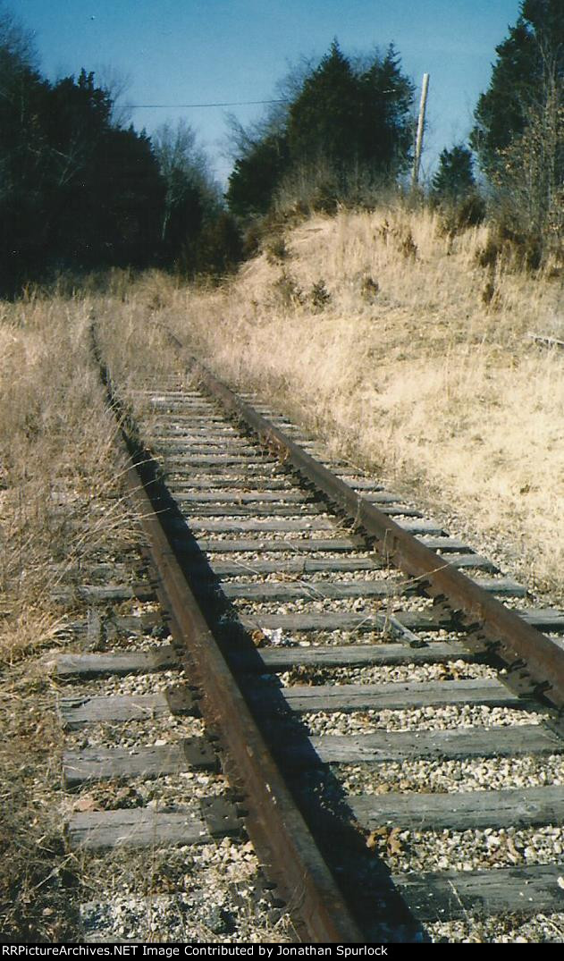 Looking west towards Owensville, MO-vertical format