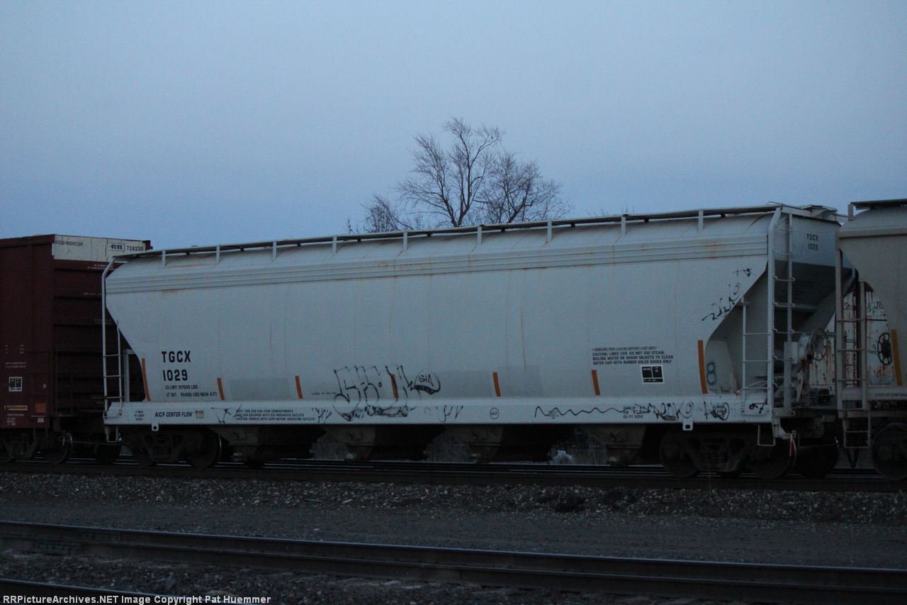 TGCX 1029