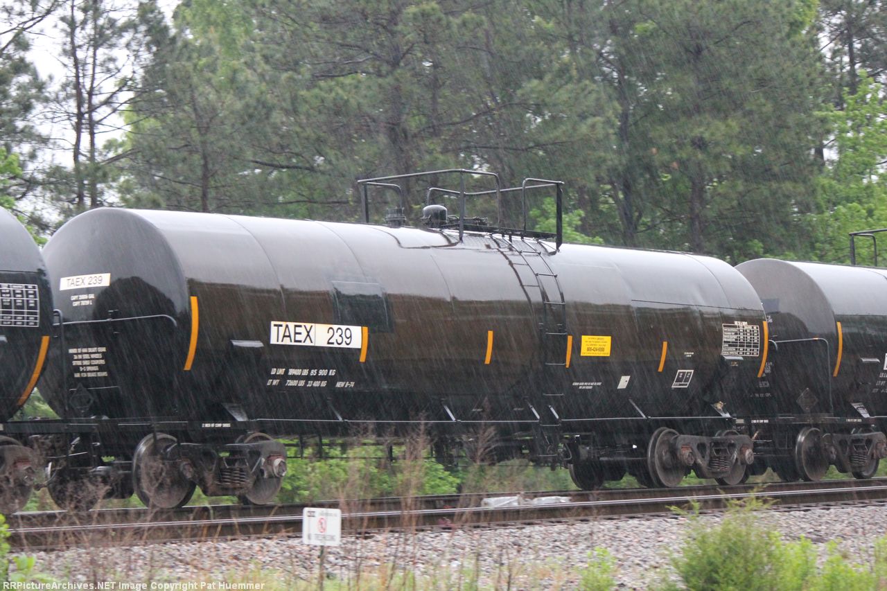 TAEX 239