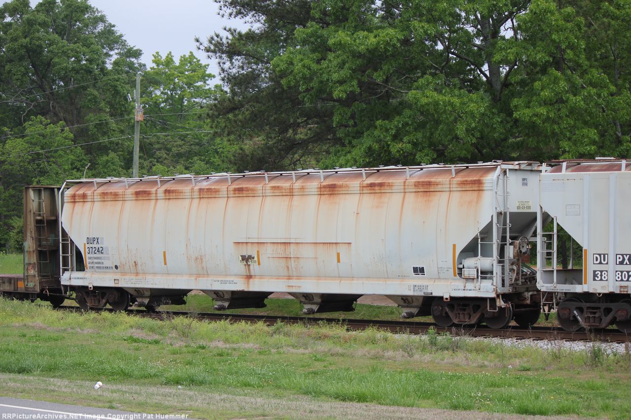 DUPX 37242