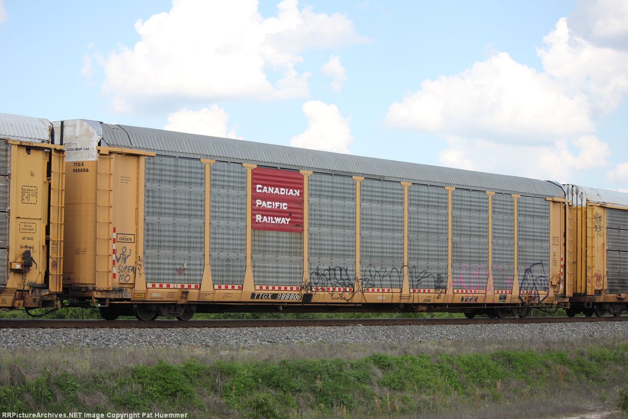 TTGX 988806