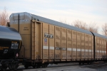 BTTX 880026