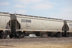 NS 296050