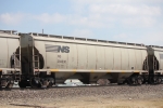 NS 294830