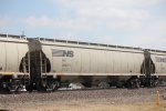 NS 296771