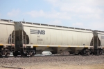 NS 295285
