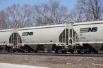 NS 236137
