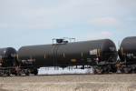 CBTX 741551