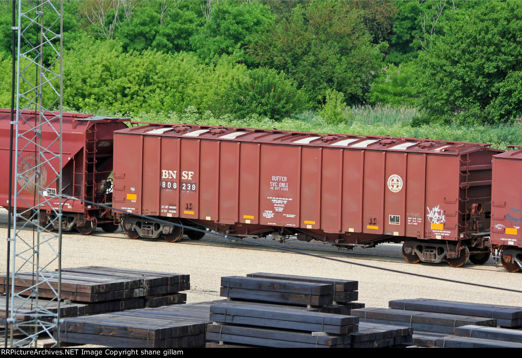 BNSF 808239
