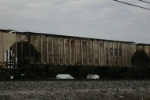 CSX 259475