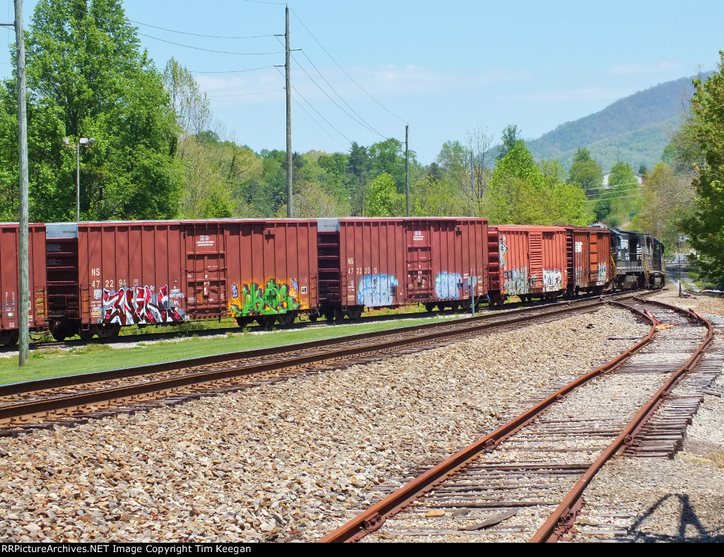 P59 switching Evergreen Packaging