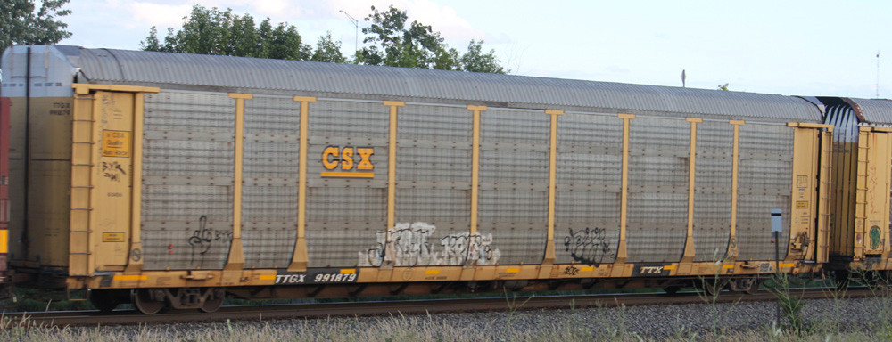 TTGX 991879