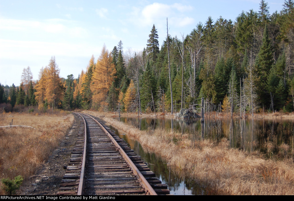 Some drainage work is needed