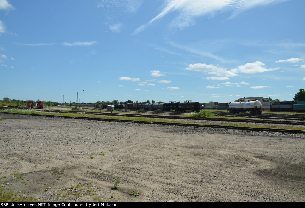 south wind and a full yard