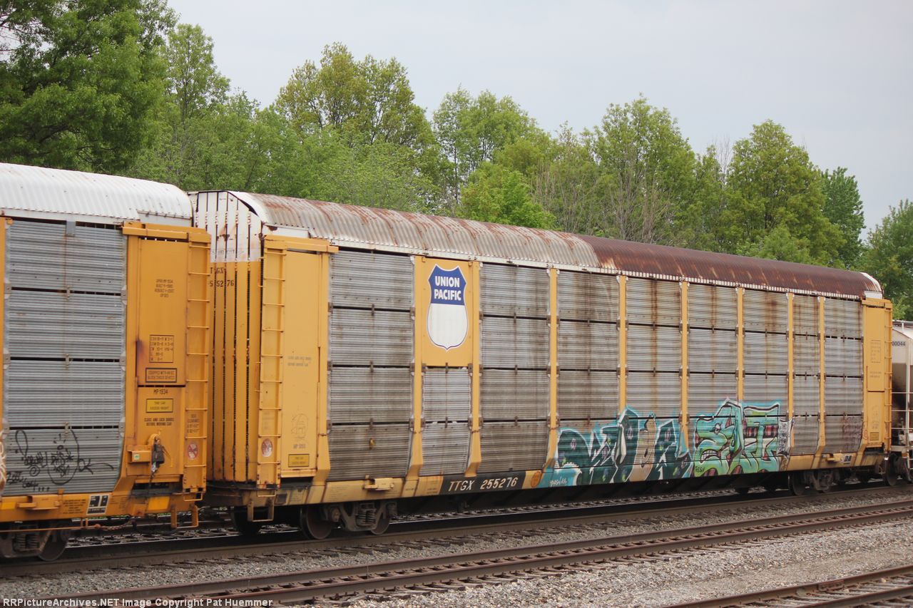 TTGX 255276