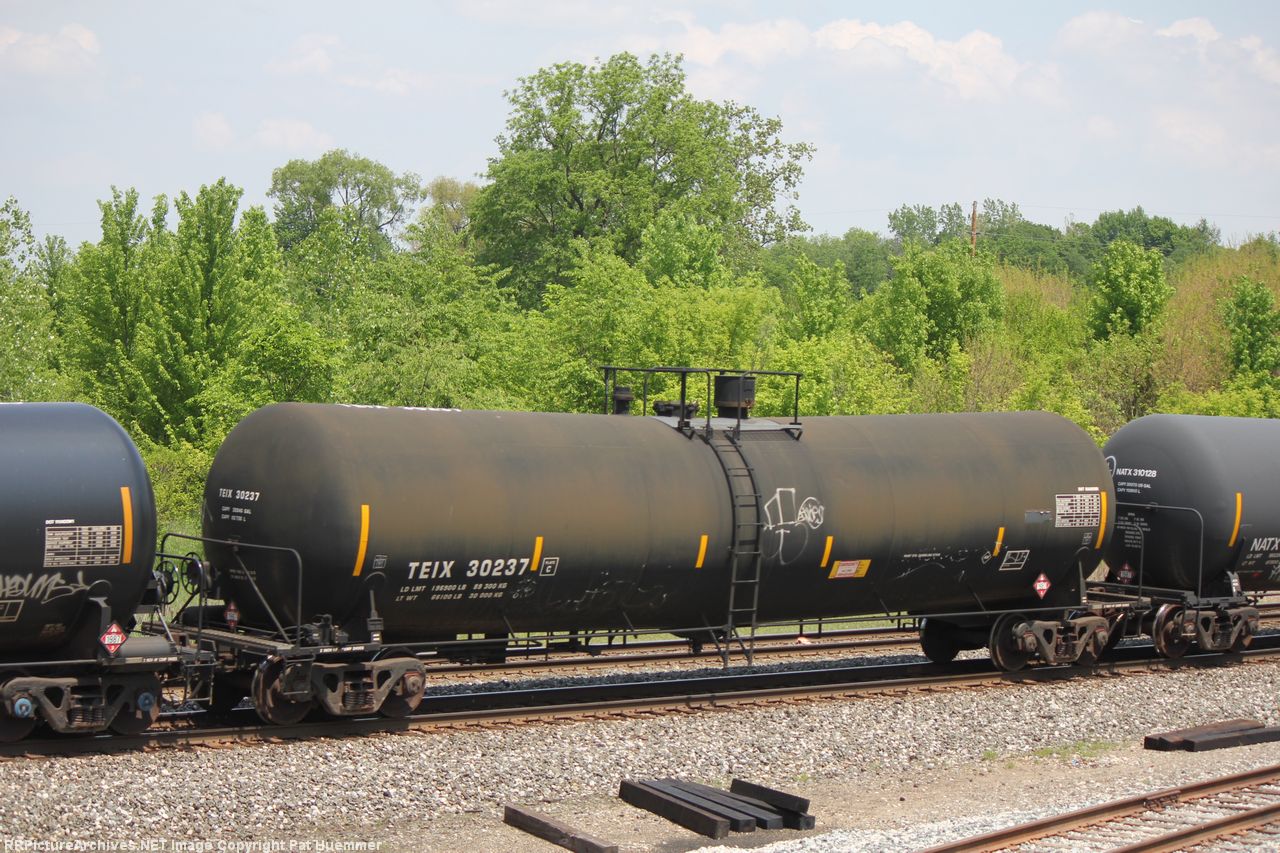 TEIX 30237