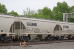 NS 236109