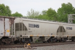 NS 236077