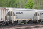 NS 236039