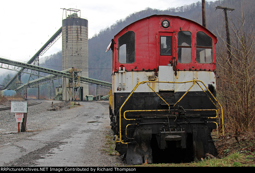 Abandoned coal mine critter