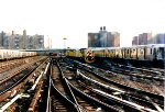 Section of the Coney Island yards