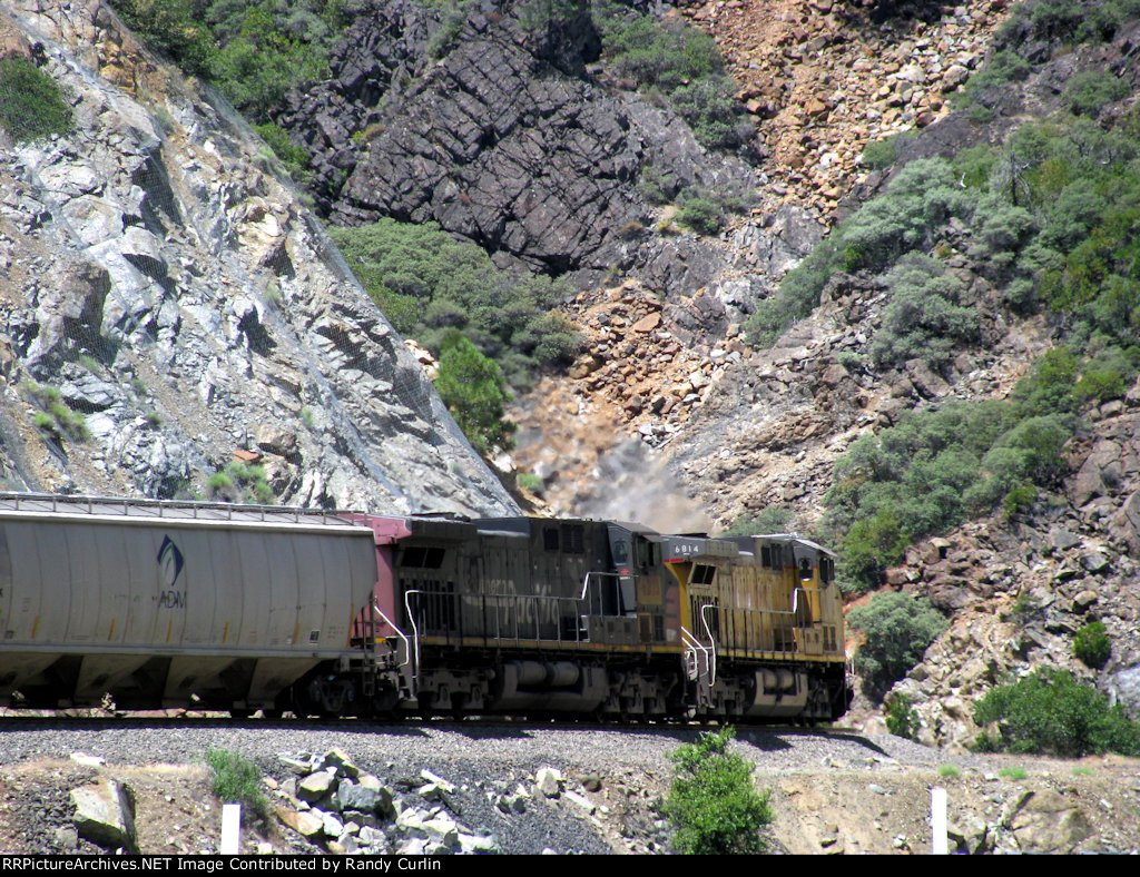 WB Grain at Rich Bar