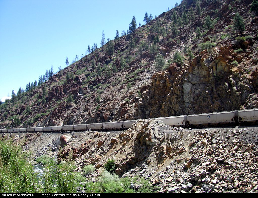 WB Grain at Rich Bar