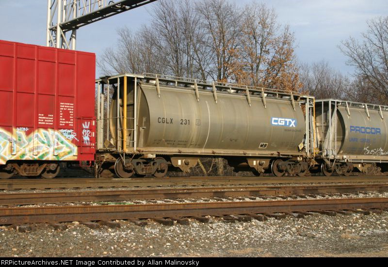 CGLX 231