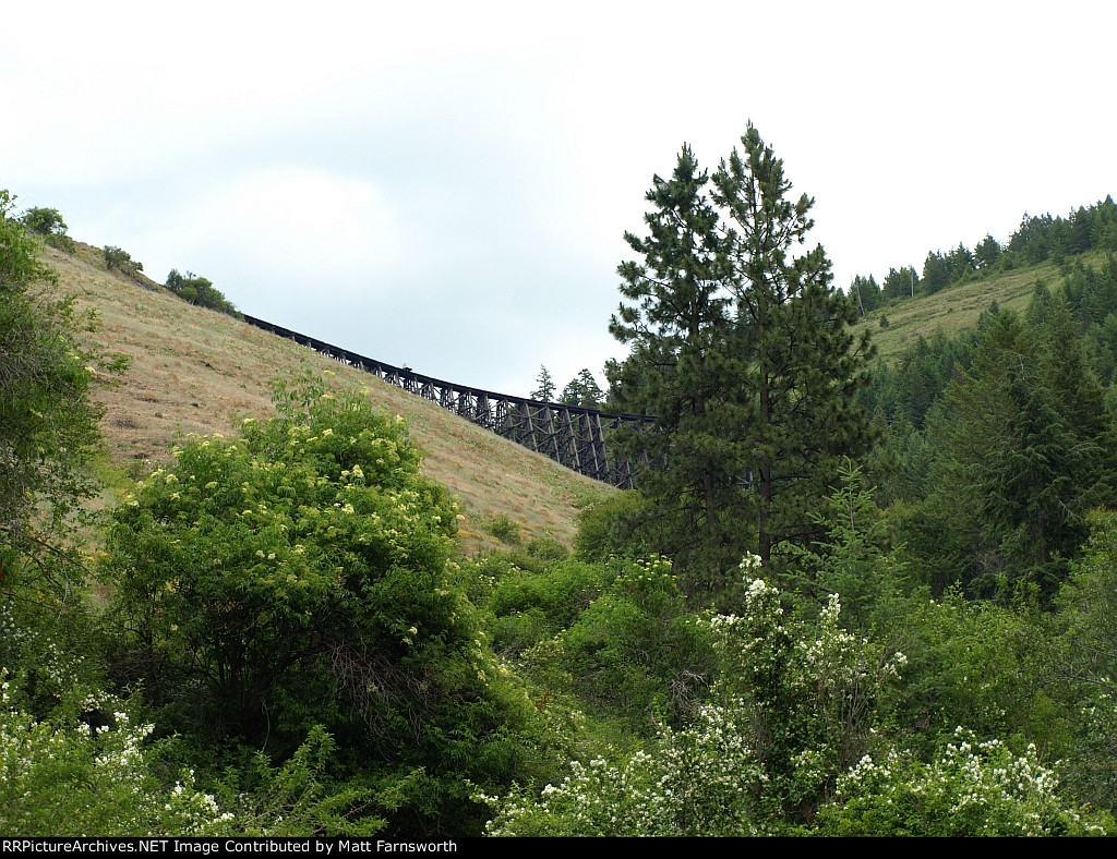 Halfmoon Trestle 