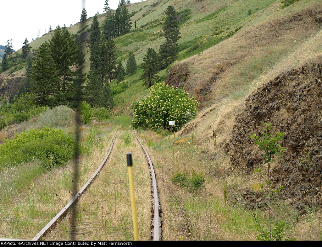 Mile Post 18 & the snow ball bush