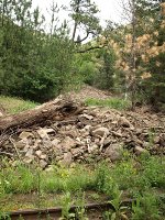 Rock slide MP16 full view