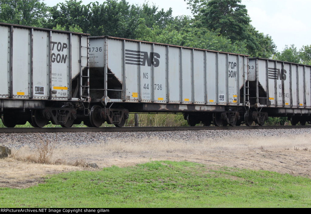 NS 44736