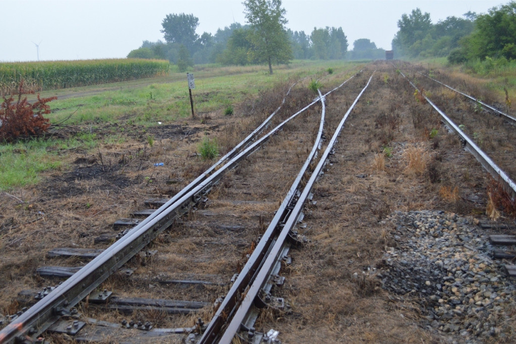 Brush clearing for new car repair site 