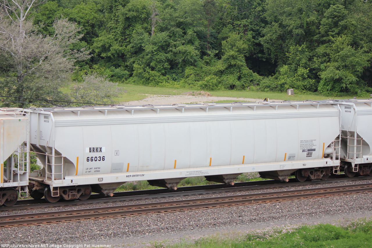 BRKX 66036